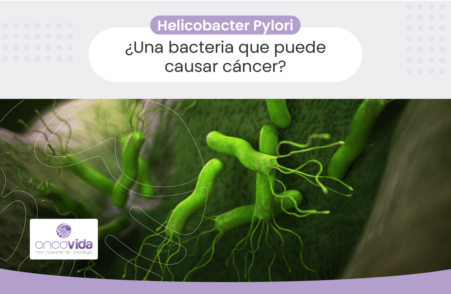 qué es el pylori