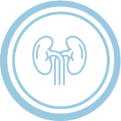 Estudios clínicos cáncer renal oncovida