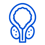 ícono de cáncer de próstata
